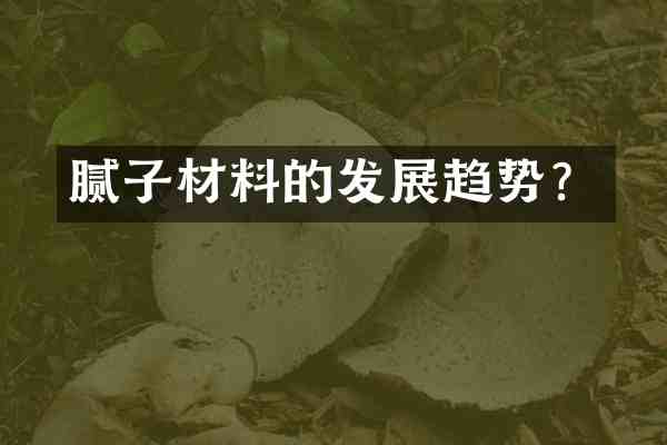 腻子材料的发展趋势?
