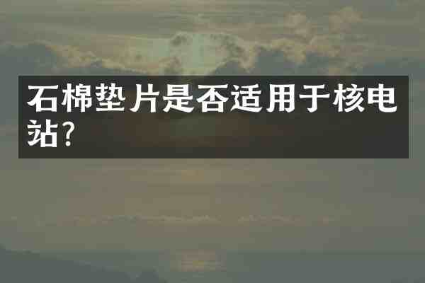 石棉垫片是否适用于核电站?