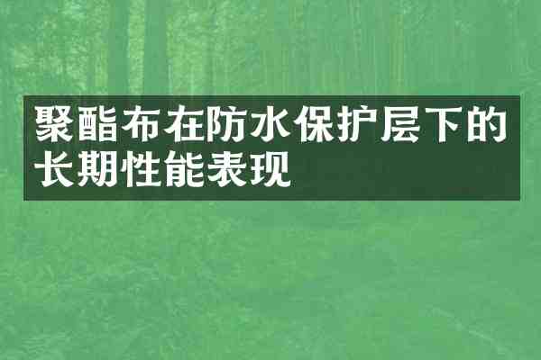 聚酯布在防水保护层下的长期性能表现
