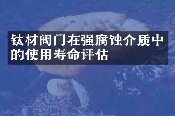 钛材阀门在强腐蚀介质中的使用寿命评估