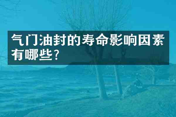 气门油封的寿命影响因素有哪些?
