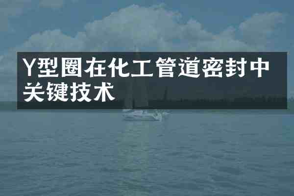 Y型圈在化工管道密封中的关键技术