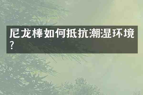 尼龙棒如何抵抗潮湿环境?