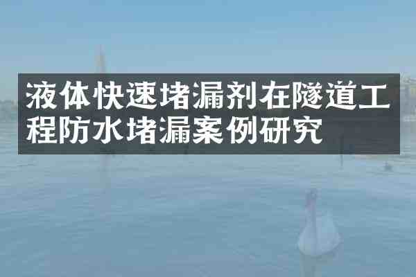 液体快速堵漏剂在隧道工程防水堵漏案例研究