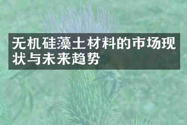 无机硅藻土材料的市场现状与未来趋势