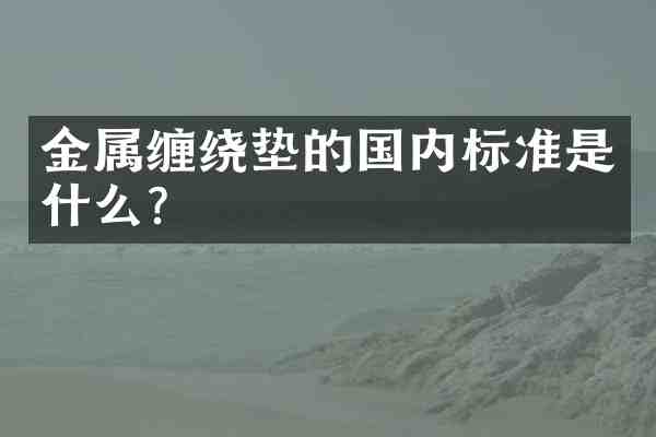 金属缠绕垫的国内标准是什么？