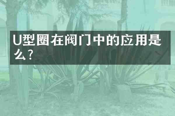 U型圈在阀门中的应用是什么?