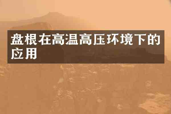 盘根在高温高压环境下的应用