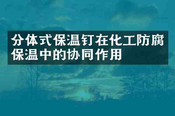 分体式保温钉在化工防腐保温中的协同作用