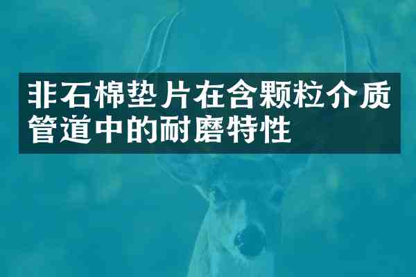 非石棉垫片在含颗粒介质管道中的耐磨特性