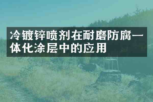 冷镀锌喷剂在耐磨防腐一体化涂层中的应用