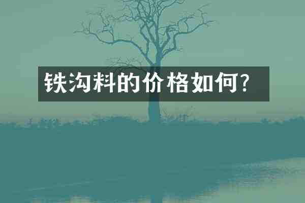 铁沟料的价格如何?