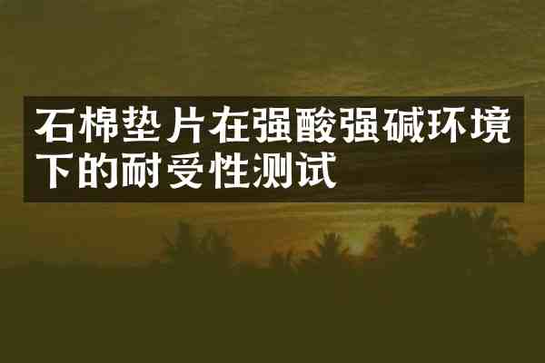 石棉垫片在强酸强碱环境下的耐受性测试