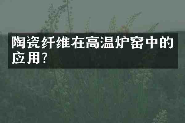 陶瓷纤维在高温炉窑中的应用？