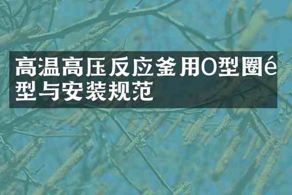 高温高压反应釜用O型圈选型与安装规范