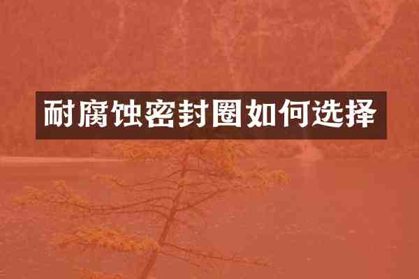 耐腐蚀密封圈如何选择