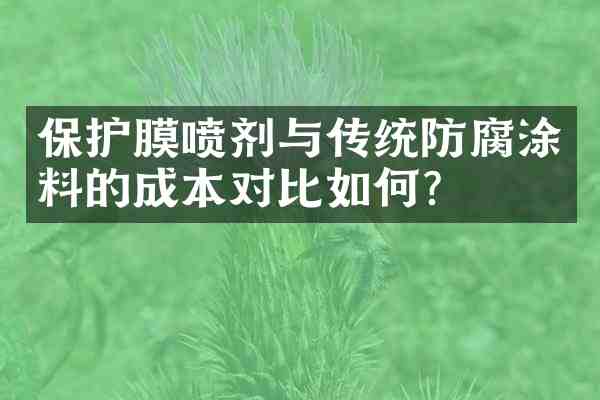 保护膜喷剂与传统防腐涂料的成本对比如何?
