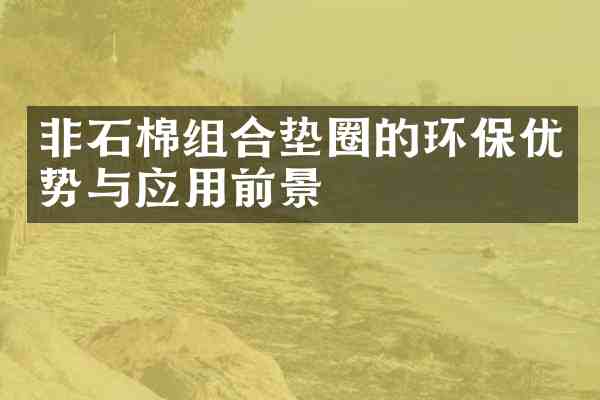 非石棉组合垫圈的环保优势与应用前景