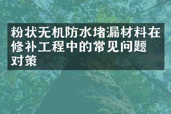 粉状无机防水堵漏材料在修补工程中的常见问题与对策