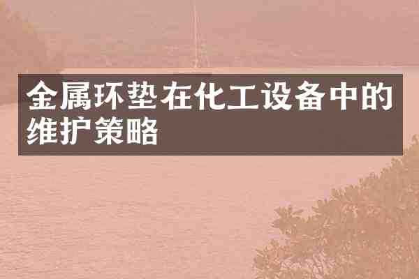 金属环垫在化工设备中的维护策略