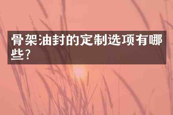骨架油封的定制选项有哪些？