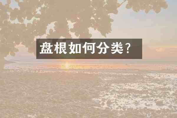 盘根如何分类?