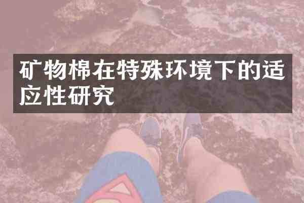 矿物棉在特殊环境下的适应性研究