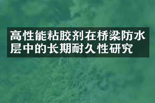 高性能粘胶剂在桥梁防水层中的长期耐久性研究