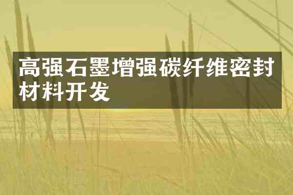 高强石墨增强碳纤维密封材料开发