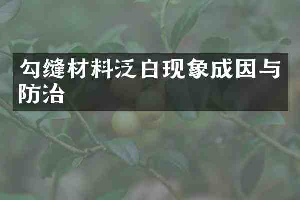 勾缝材料泛白现象成因与防治