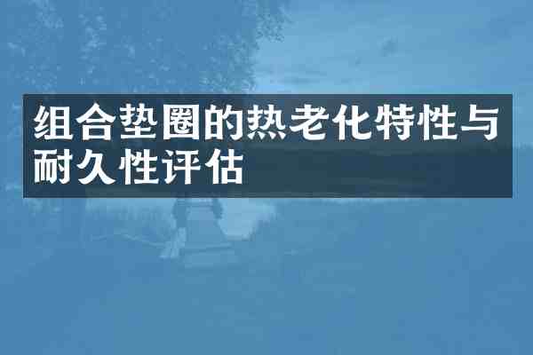 组合垫圈的热老化特性与耐久性评估