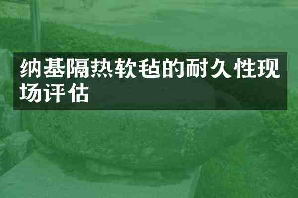 纳基隔热软毡的耐久性现场评估