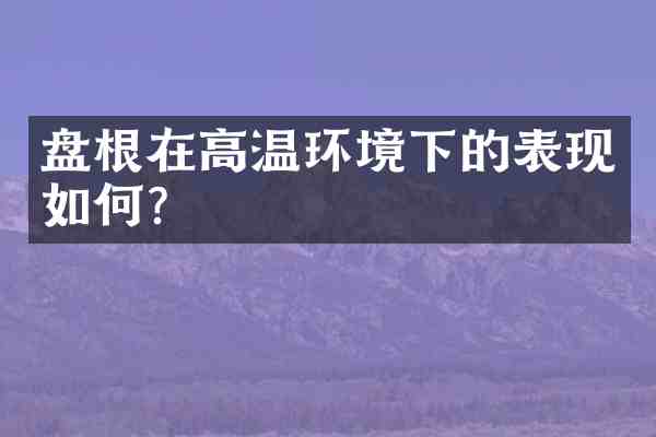 盘根在高温环境下的表现如何?