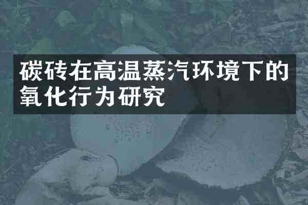 碳砖在高温蒸汽环境下的氧化行为研究
