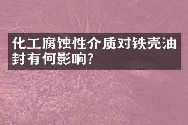 化工腐蚀性介质对铁壳油封有何影响?
