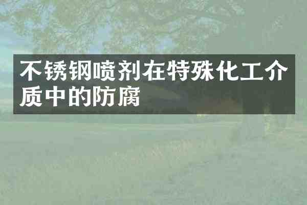 不锈钢喷剂在特殊化工介质中的防腐