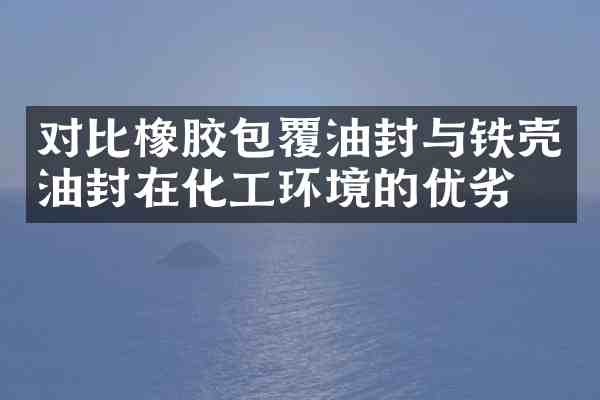 对比橡胶包覆油封与铁壳油封在化工环境的优劣