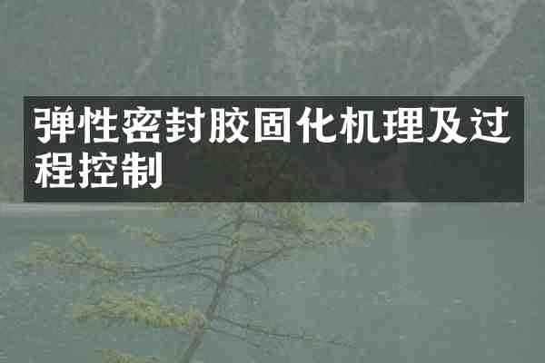 弹性密封胶固化机理及过程控制