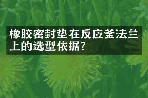 橡胶密封垫在反应釜法兰上的选型依据?