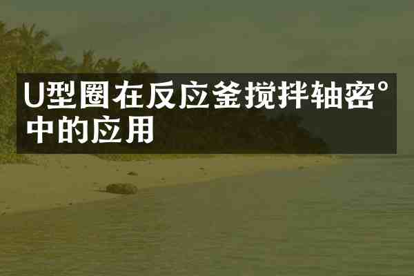 U型圈在反应釜搅拌轴密封中的应用