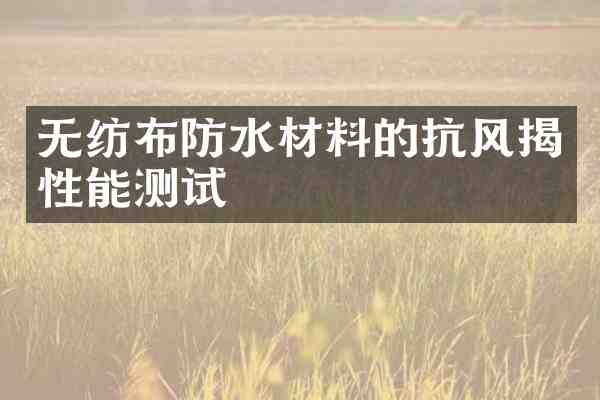 无纺布防水材料的抗风揭性能测试