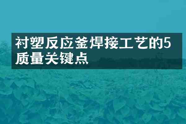衬塑反应釜焊接工艺的5个质量关键点