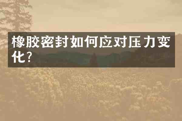 橡胶密封如何应对压力变化?