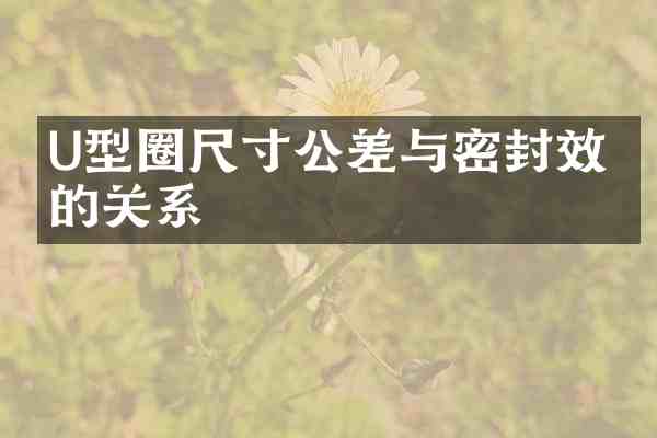 U型圈尺寸公差与密封效果的关系