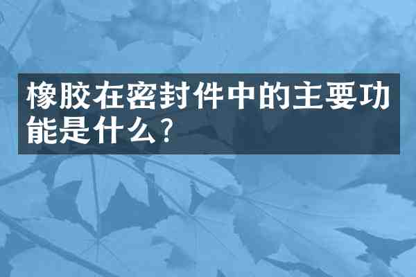 橡胶在密封件中的主要功能是什么?