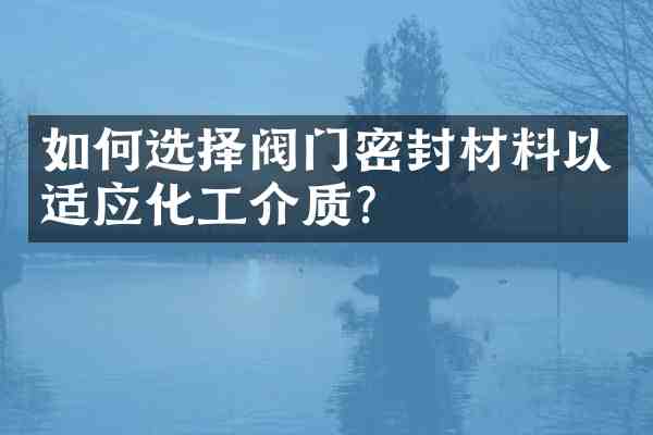 如何选择阀门密封材料以适应化工介质？