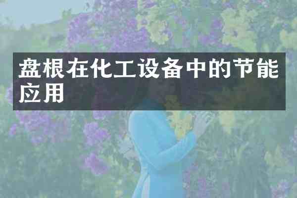 盘根在化工设备中的节能应用