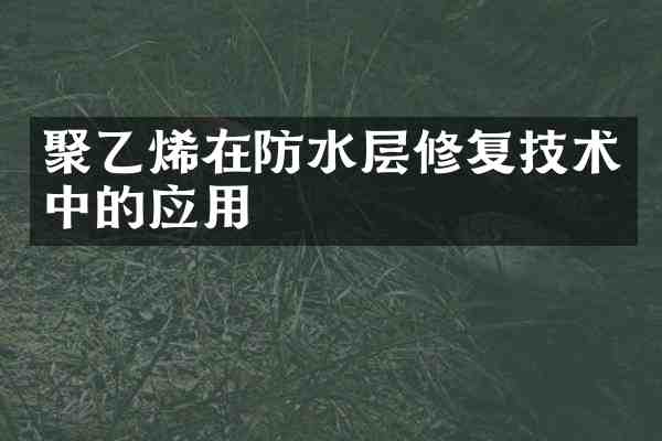聚乙烯在防水层修复技术中的应用