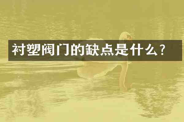 衬塑阀门的缺点是什么?