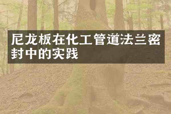 尼龙板在化工管道法兰密封中的实践